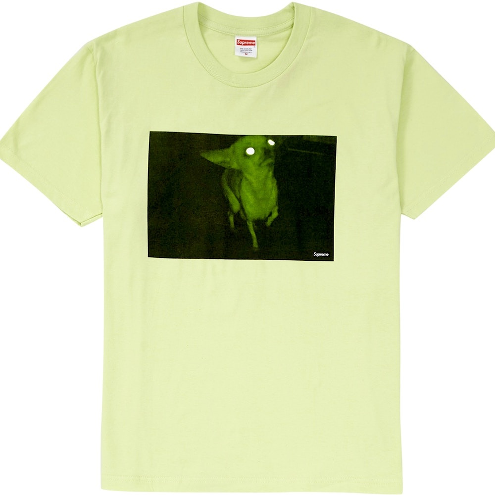 Supreme FW18 Chihuahua Graphic Short Sleeve Tee Mint green LARGE